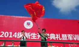 嘉庚新生爆料最新消息,最新动态揭秘，带你走进校园风云！”